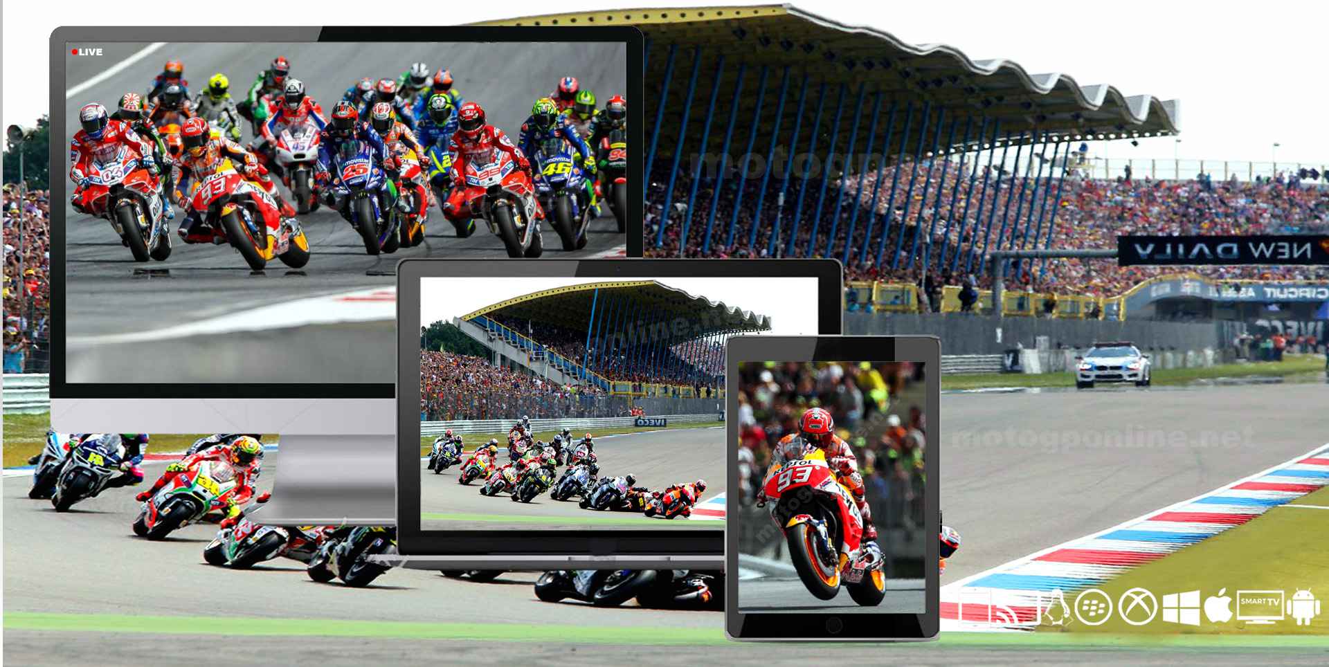 Buy Motogp Tv Coverage UP TO 53% OFF